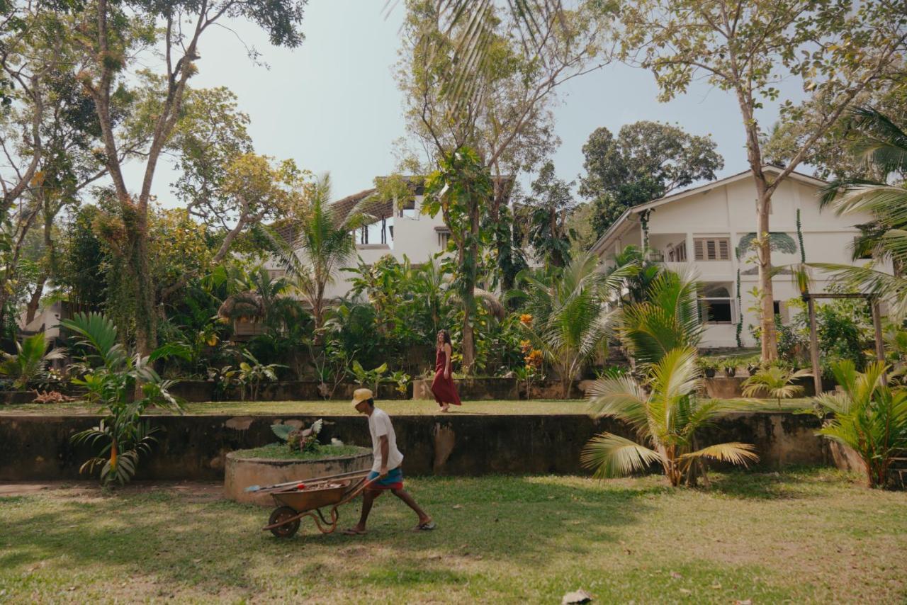 Kirinuga Boutique Retreat Hotel Tangalle Exterior photo