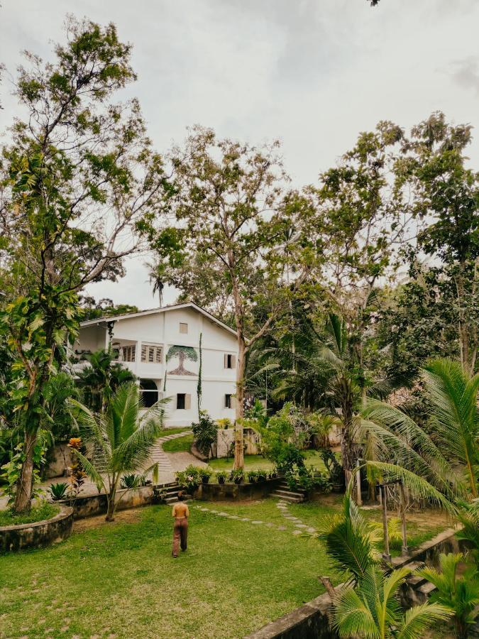 Kirinuga Boutique Retreat Hotel Tangalle Exterior photo
