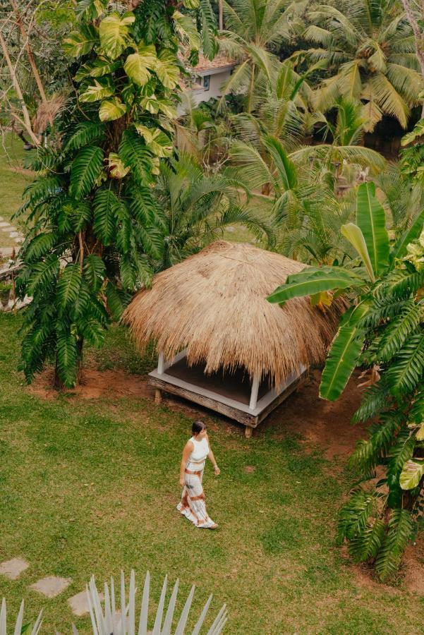Kirinuga Boutique Retreat Hotel Tangalle Exterior photo
